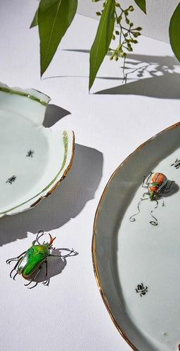 Botticello Ceramics - Green With Envy